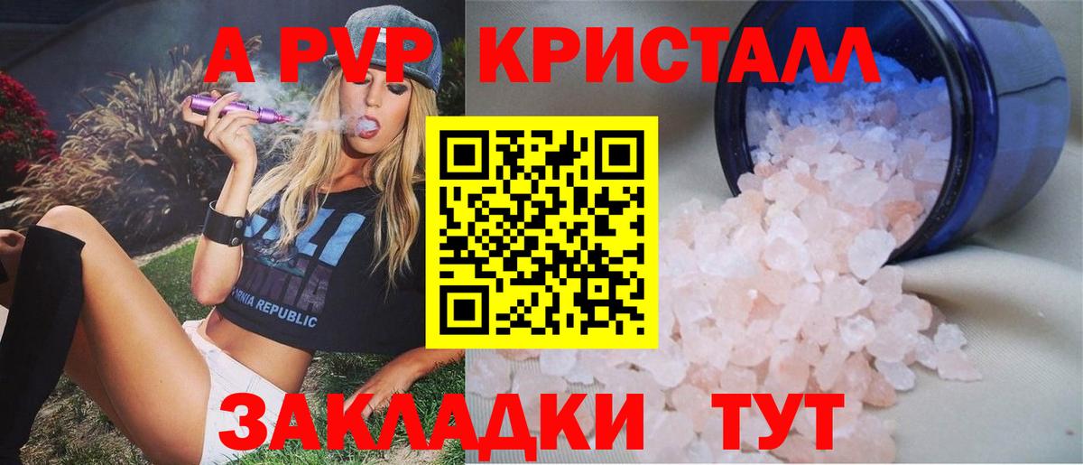 Альфа ПВП СК Владивосток