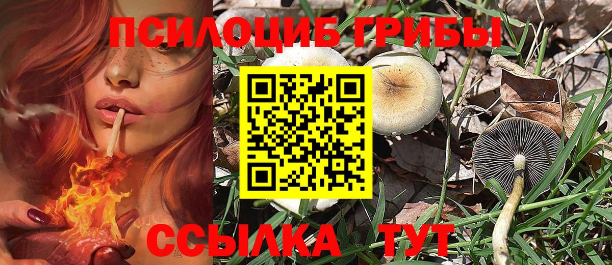 Псилоцибиновые грибы GOLDEN TEACHER Владивосток