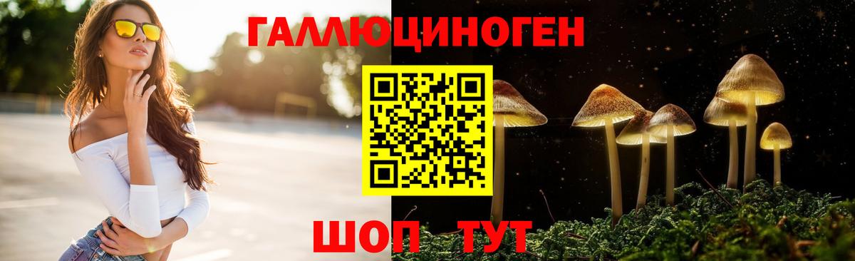Псилоцибиновые грибы Cubensis  Вход с VPN  Владивосток 